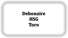Debonaire HSG Toro